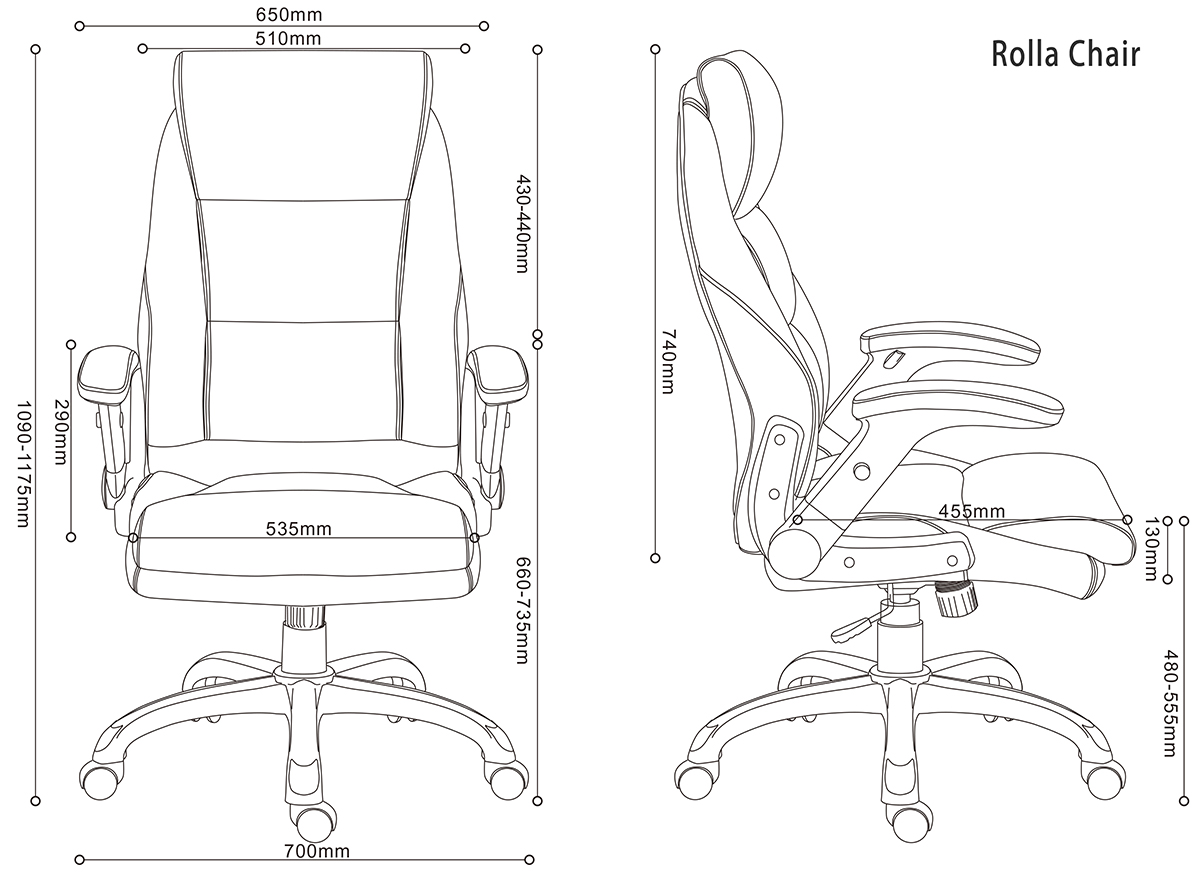 Rolla Office Chair from Office Chairs at Fancy-fix - UBIZ